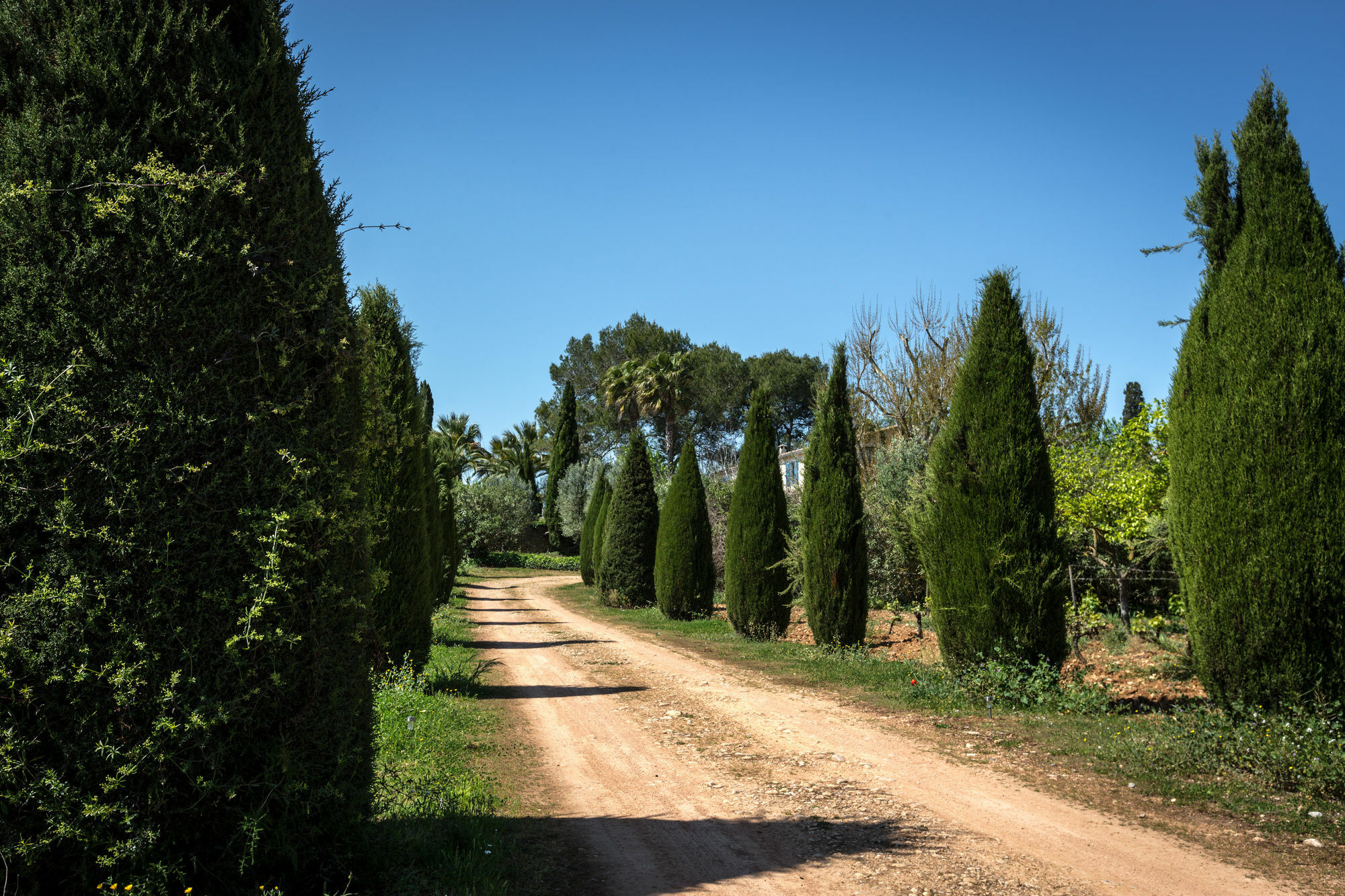 Finca Son Miranda - La Organic Sencelles Exterior foto